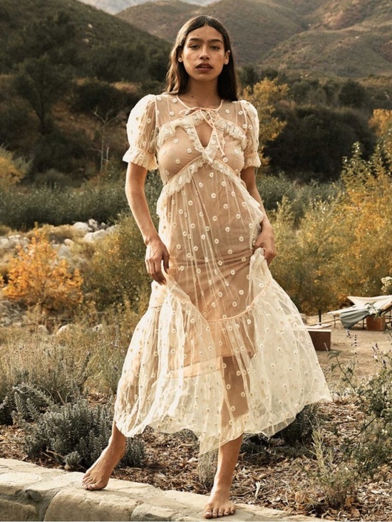 Doen Dresses & Skirts - Doen Zelda Sheer Floral Dress Faded Peach
